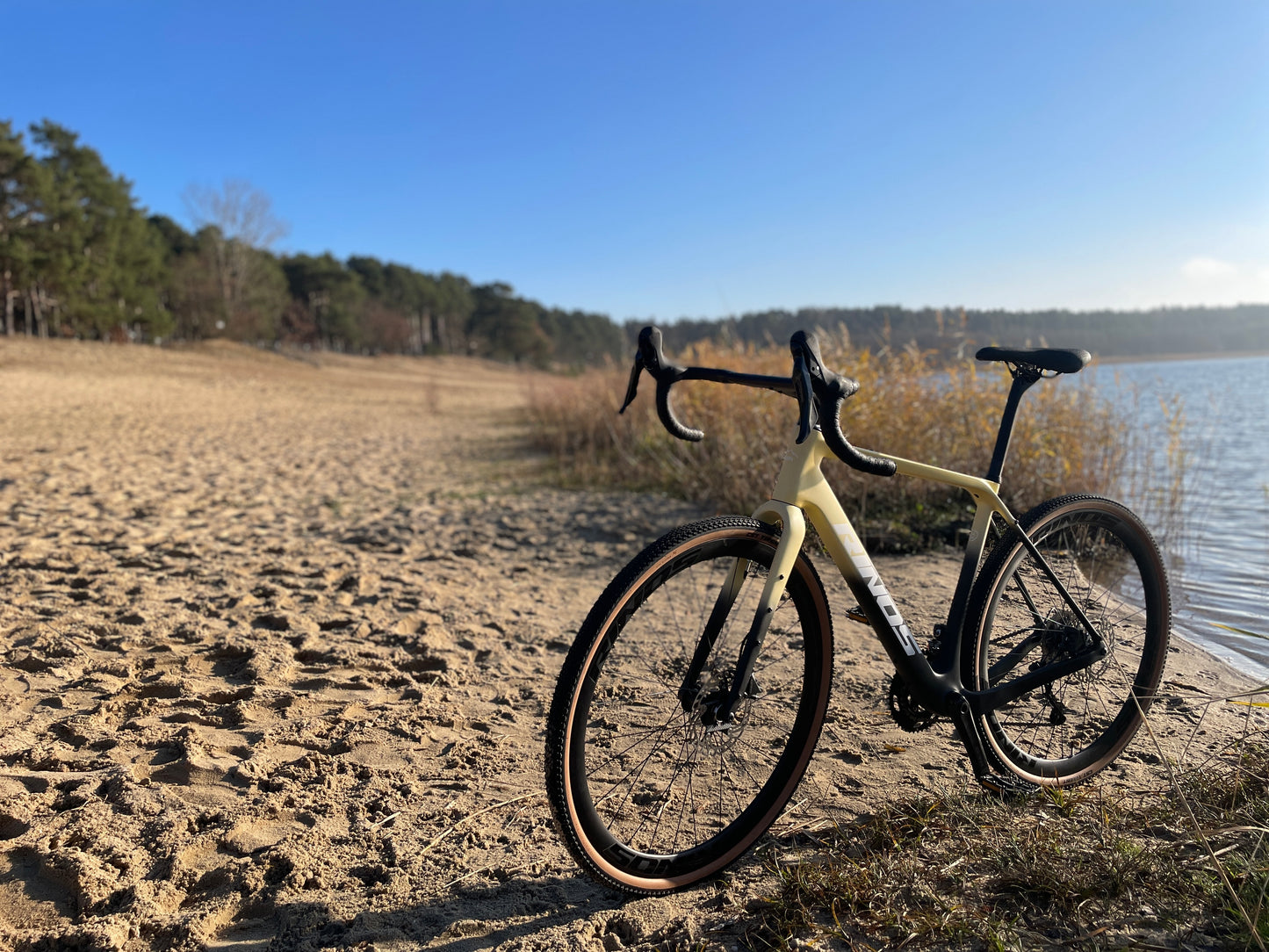 RINOS Gruscykler Carbon Sandman6.0 Shimano GRX600